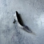 scarpa